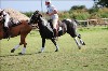 UKPA  NC Sat_1287